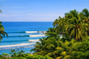 Bocas del Toro Surfing – Carenero Point right‑hander