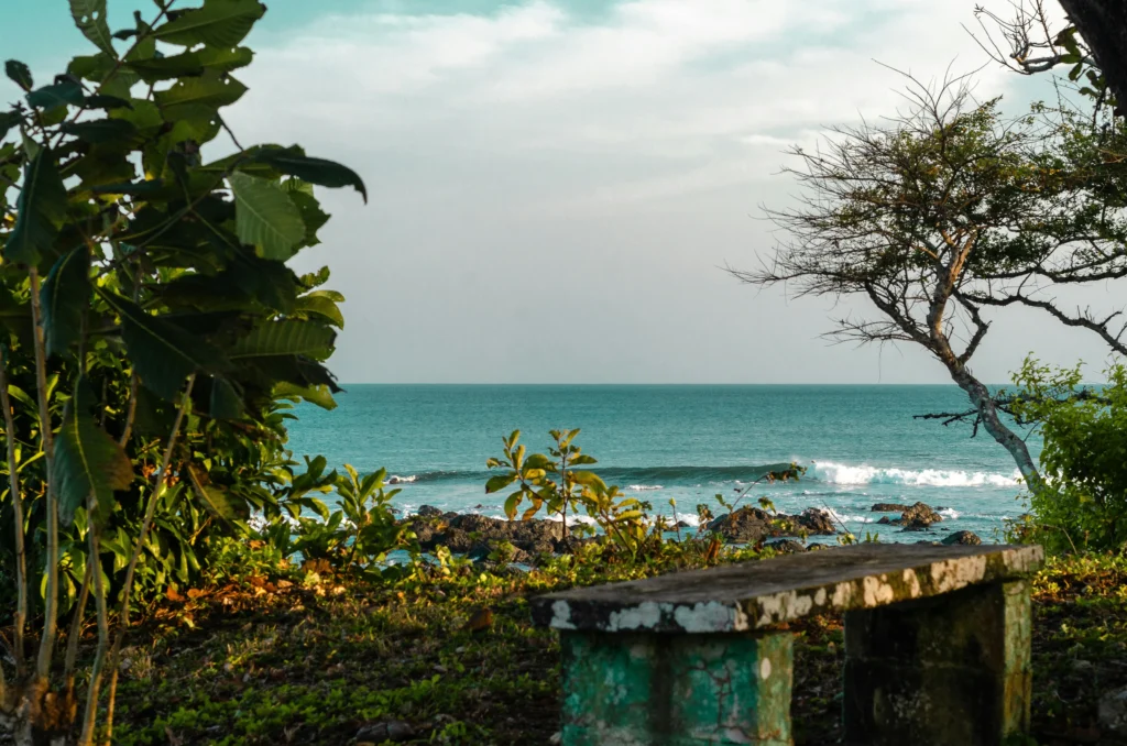 Home 6 Coastal view with bench and waves
