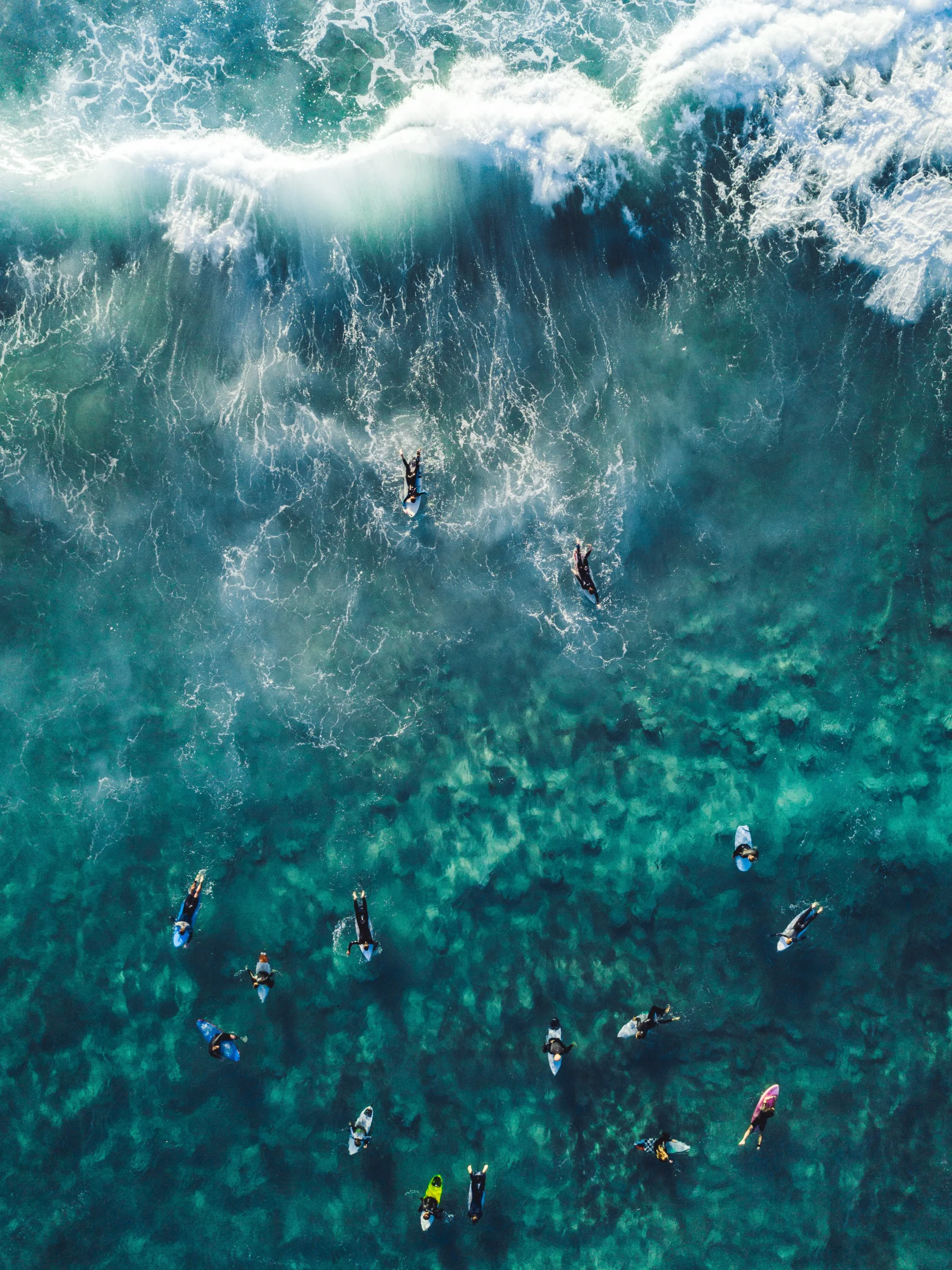 people surfing scaled